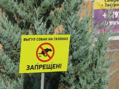 �������� �� ��������: ���� � �����