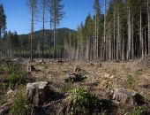 � ���� ������������ ���������� ������� ����� � 2030 ����