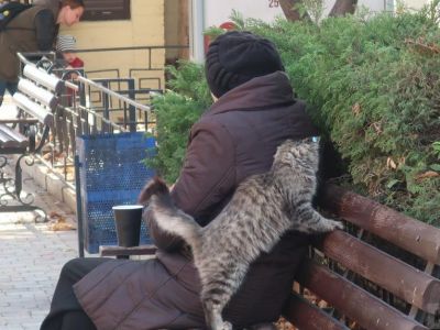 � ����� ������� �������� � ������ � ������ ����� 