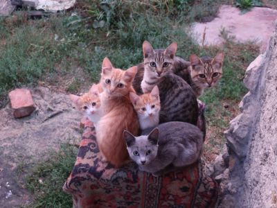 � ����� ������� �������� � ������ � ������ ����� 