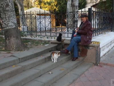 � ����� ������� �������� � ������ � ������ ����� 