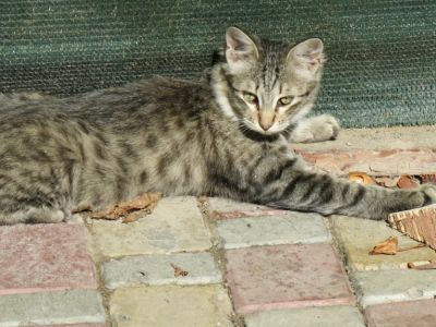 � ����� ������� �������� � ������ � ������ ����� 