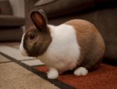 ������ ����� ���� ������� � �������������� �� 2 ���. ������