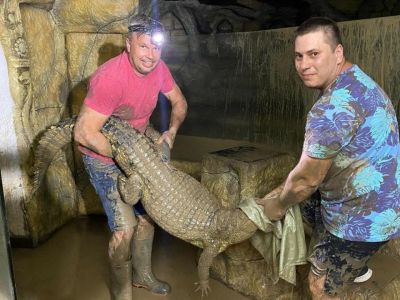 ����������� ������� ������� ������ � ����: ���������� ��������� � ����������