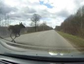 ��� ���� ���� ����� ��� ��������: ������ � ������� �������