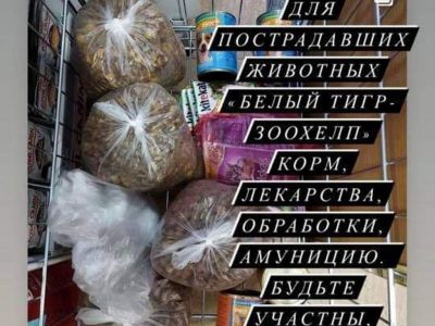 ����� ������ ��� ��������� �������� �������� 