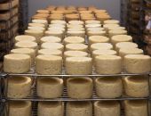 � ������ ��������� 165 ����������� ����������� �����