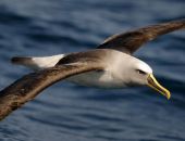 ����� ���� �����������: ���������� ������� �������� ��������������� � �����������