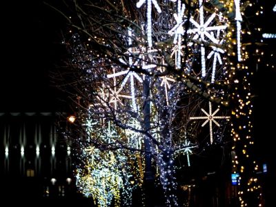 � ������� ����� �� ���������� ��������� �������� 25 ���. ������