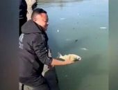 ������ �� ������ ������ ������� � ��������� ����� ������� � ����� ���