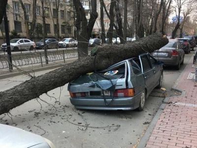 ����� 12 ����� ��������� � ����� �������� ��� ����� ��-�� ��������