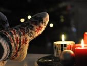 ����� � ����� ��������� ������ �������������� ��������� �� ����� ���