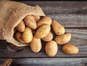 � ������ ������������ � ����� �������� ��������� � 2022 ����