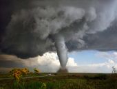 ������� ������� � ��� ���� �������� ������ �������� �������