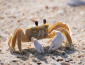 ���� �� ���������� ������ ������� ����� � ��� ����