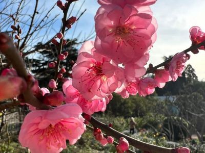 � ����� � ��������� ������������ ���� ����� ������� ���� (����)