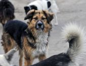 � ������ ���� ��������� ����� �������� �������