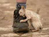 ��� ���� � ���� ���� � �������� � ����� � ������� ���� 18 �������