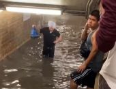 ���-���� ����� ���������� � ���������� ����������