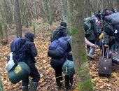 Мигранты рассказали о схеме переброски из Беларуси в Германию