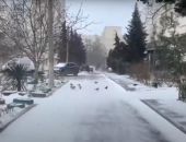 � ����������� �� ����� ��������� ������ ������� � ����������� � �������� �������