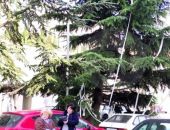 � ���� ���������� ���� �������� ��������� �������