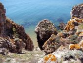 � 1 ������ � ����� ������� ��� ��������� ����������� ��������� � �������������