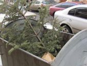 ������� ������� ������������ ���������� �� ���������� ����