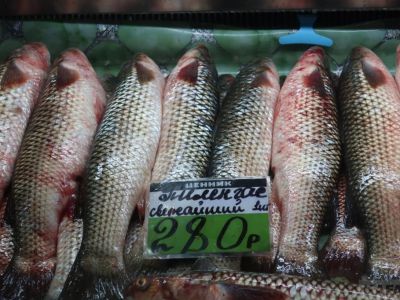 ���� �� ����� ��������: ��������� ����� ���������