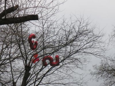 ��������: 50 ���� �� �����