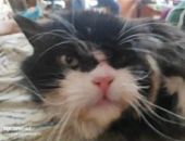 � ������ ��������� �� ������� ���� �� 9,5 ���. ������