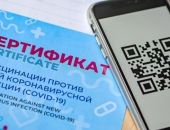 � ����� QR-���� ����� ����� ��� ������ � ����, �������� ������ � ����������