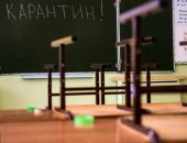 � ����� 33 ����� � 515 ������� ���������� �� ������������� � ��������