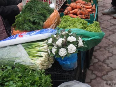 � �������� �������� ���������� �������� �������������