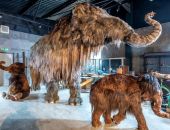 � ���� � ������� ������� ������������� ���������� ����� 