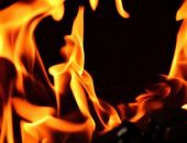 � ����� ���������� ����� ������ �� �������� ������ ���� �������