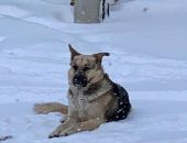 ��� ���� � ���� ���� � �������� � ����� � ������� ����: 23 �������