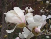 ��� ���� � ���� ���� � �������� � ����� � ������� ���� 2 ������