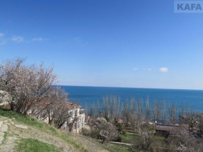 � �������� ������ ����� ��������� ������ �������� ��������� 