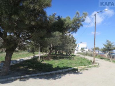 � �������� ������ ����� ��������� ������ �������� ��������� 