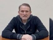 Медведчук попросил Путина и Зеленского обменять его на бойцов в Мариуполе