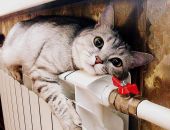 Отопительный сезон в Севастополе продлили до конца рабочей недели