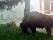 � ������ �� ����� ������ �����, ��� ����� � ������