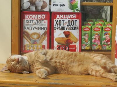 ��������: ���� ���� �� ���