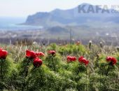 ��� ���� � ���� ���� � �������� � ����� � ������� ���� 28 ������