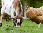 ��������� ����� ��������� ��������� ��� � ��� �� �����