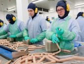 � ������ ������� ����� �������� �������� ��� ������� � �������  