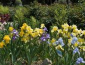 ��� ���� � ���� ���� � �������� � ����� � ������� ���� 3 ���