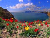 ������ ������ ��� � ����� ����� ������