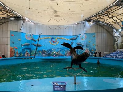 � ����� 20 ���������, ������ � ������������ �������� ���������� ��������